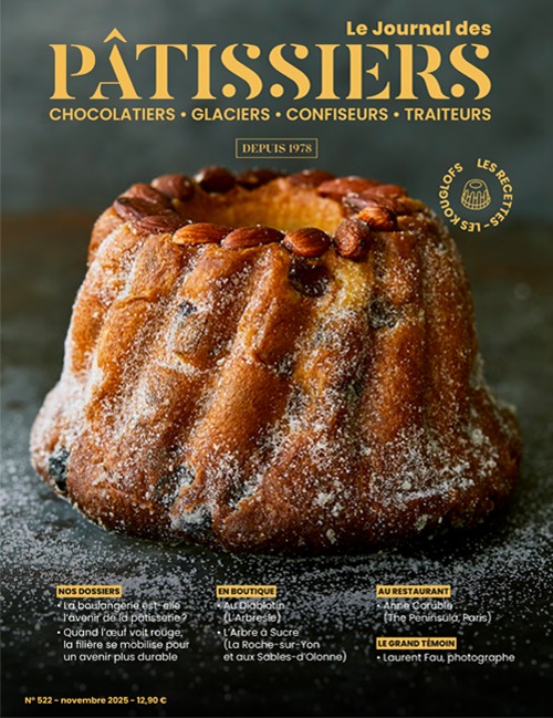 fruta liofilizada en polvo. nº 522.